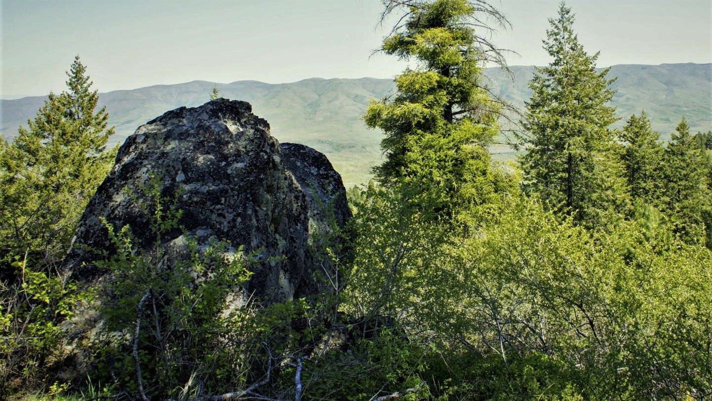Ola Slope Idaho Offroad Trail